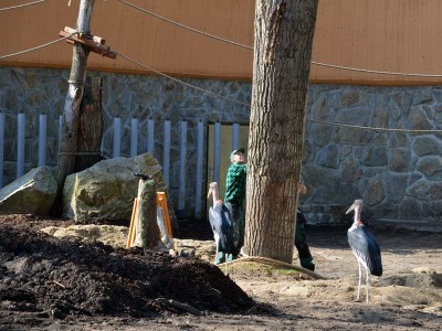 Zoo Wrocław: Wiosna radosna (ZDJĘCIA) - 13
