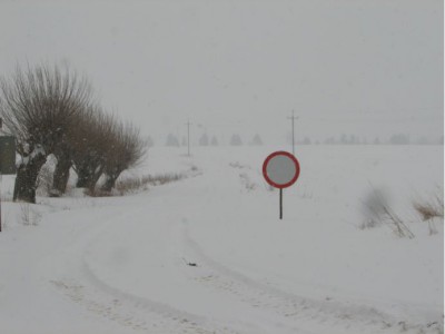 Niebezpiecznie na drogach - 1