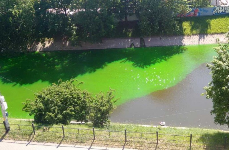 Wrocław: Zielona substancja w fosie? Magistrat uspokaja (ZDJĘCIA) - 