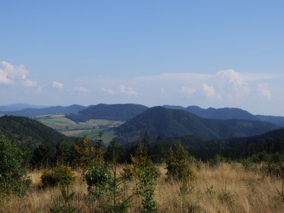 TOP5  parków krajobrazowych - wygrywa PK Sudetów Wałbrzyskich  - 13