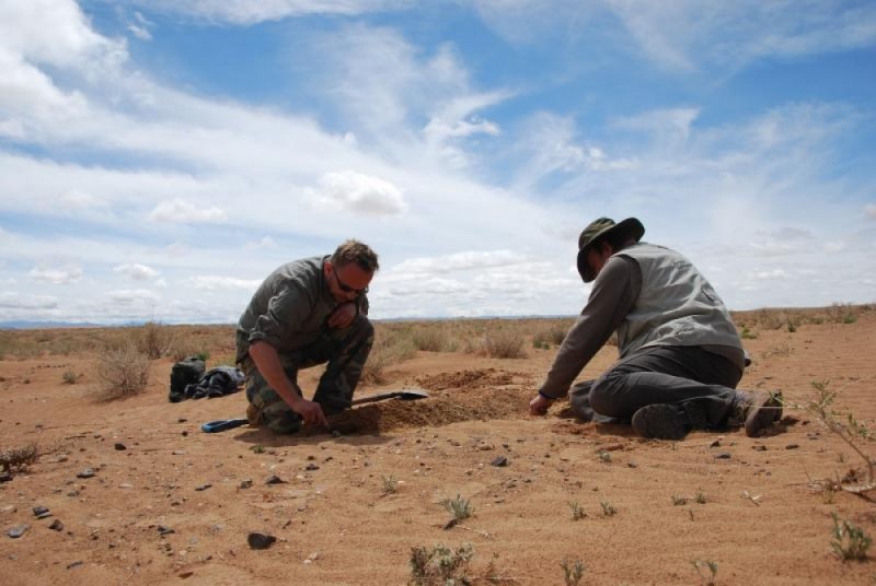 Wrocławscy archeolodzy na pustyni Gobi w Mongolii [ZDJĘCIA] - 