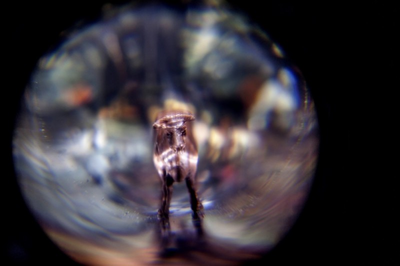 30 czerwca – otwarcie biennale sztuki europejskiej JCE we Wrocławiu - fot. mat. prasowe