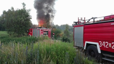 Strażnicy miejscy złapali podpalaczkę altanek [ZDJĘCIA] - 1