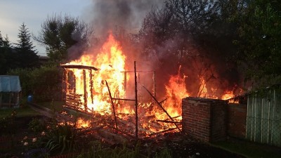 Strażnicy miejscy złapali podpalaczkę altanek [ZDJĘCIA] - 3