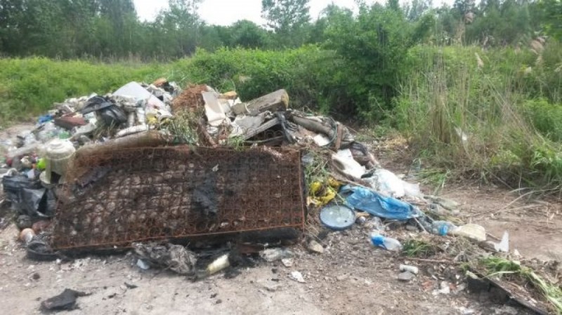Śmieciowi piraci w Legnicy -