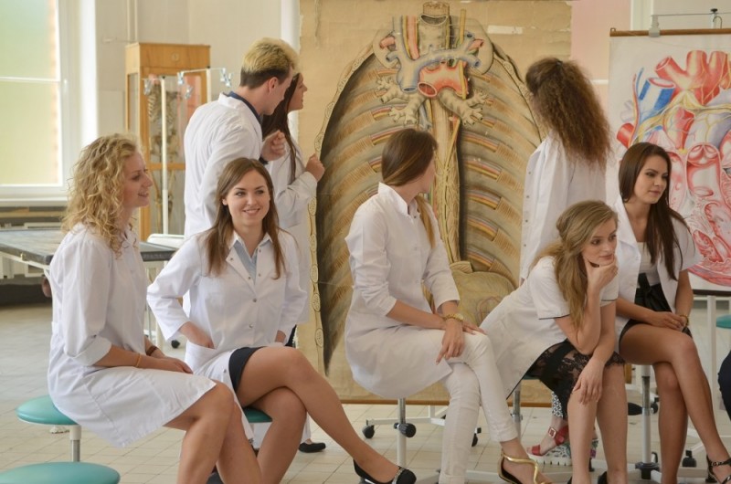 Wrocław: Stomatologia oblężona - 