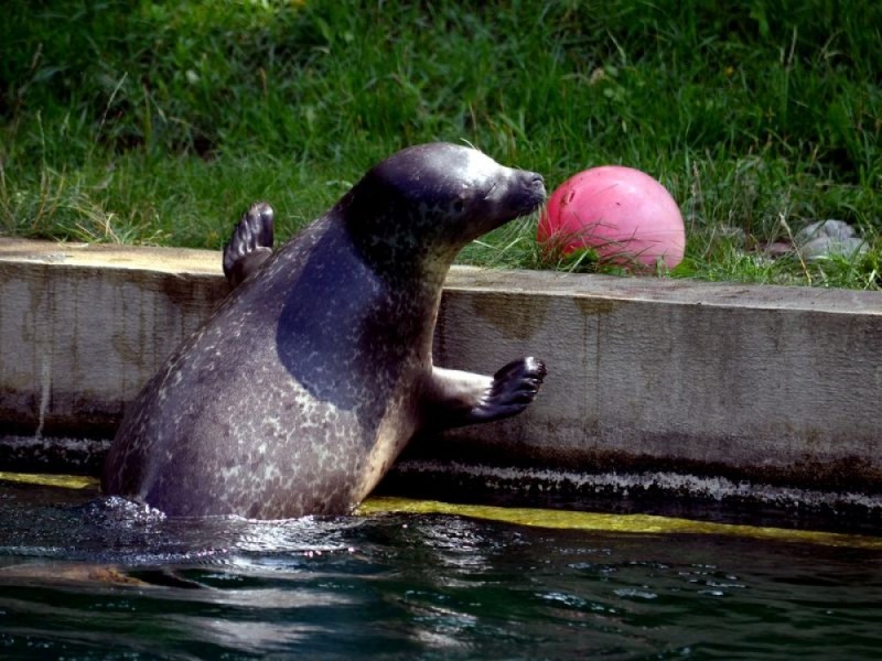 Wrocławskie ZOO lepsze od Wawelu i Wieliczki - fot. ZOO Wrocław