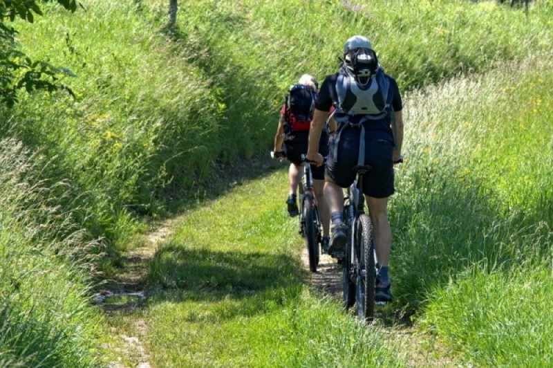 Jelenia Góra: Rowery wracają do autobusów miejskich, ale... -