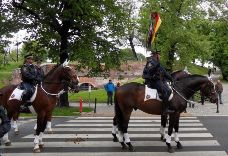 Wrocławska Straż Miejska nie sprząta po swoich koniach? - fot. wroclaw.pl