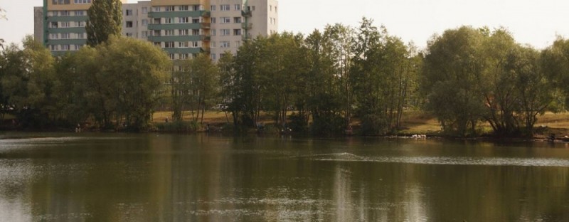 Tragedia na wrocławskich Pilczycach. W stawie utopił się mężczyzna - Fot: archiwum radiowroclaw.pl