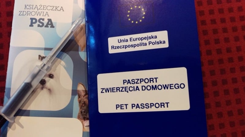 Ze zwierzakiem za granicę - 