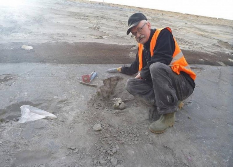 Przy drodze S3 znaleźli szczątki nosorożca sprzed ponad 100 tys. lat! - Zdjęcia: Bogusław Przybylski, Krzysztof Urbański, Urszula Ratajczak