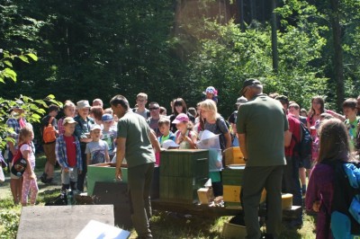 Dzień Pszczoły w Parku Narodowym Gór Stołowych - 2