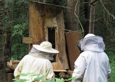 Dzień Pszczoły w Parku Narodowym Gór Stołowych