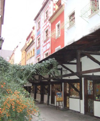 Jatki jak nowe - 8