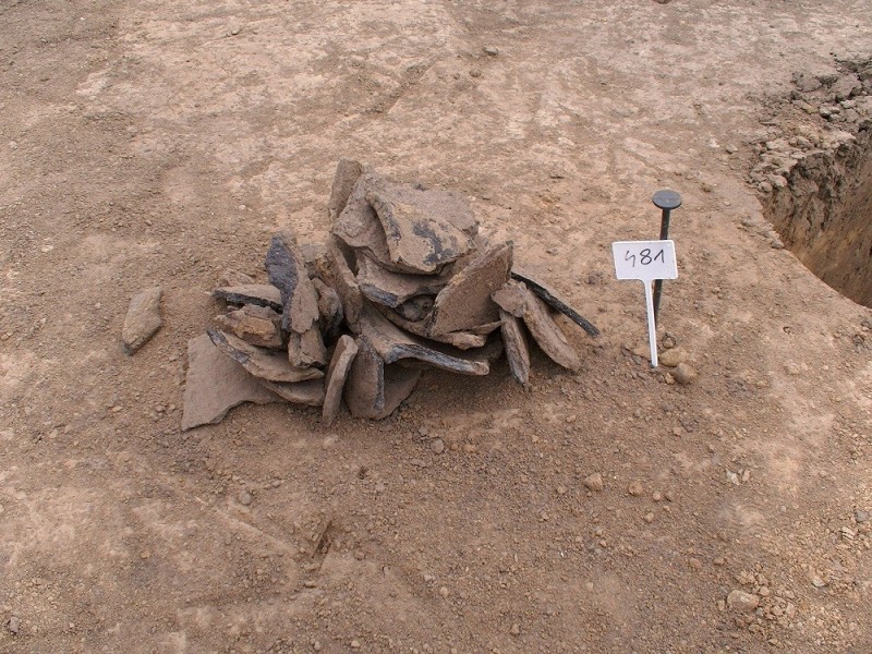 Naczynia sprzed trzech tysięcy lat odnalezione na budowie S3 - 