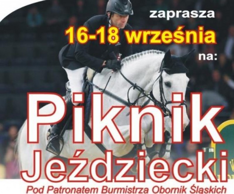 Piknik Jeździecki w Wielkiej Lipie - Fot: mat. prasowe