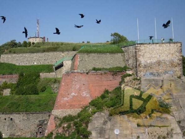 Kłodzko: nadciąga katastrofa (Posłuchaj) - Fot. www.klodzko.pl