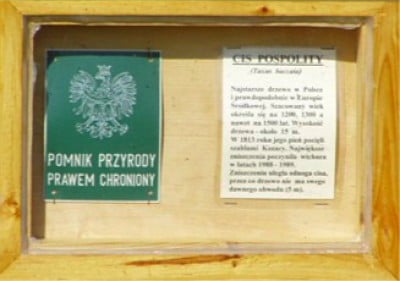 TOP5 dolnośląskich pomników przyrody (GŁOSOWANIE) - 15