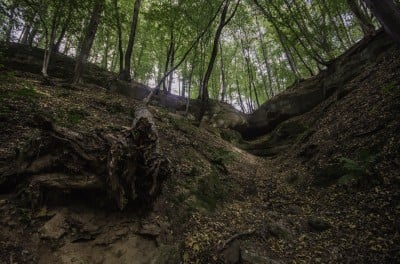 TOP5 dolnośląskich pomników przyrody (GŁOSOWANIE) - 7