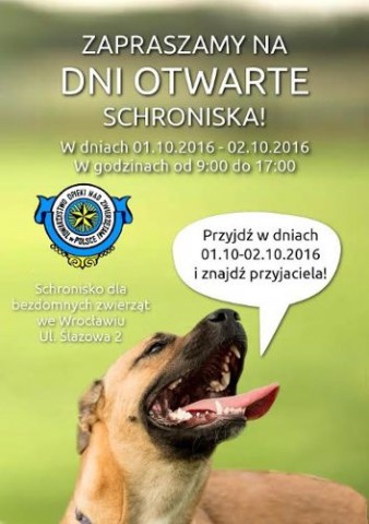 Dni Otwarte Schroniska dla Bezdomnych Zwierząt we Wrocławiu