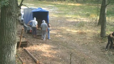 Złodzieje drewna wpadli dzięki kamerom... w lesie