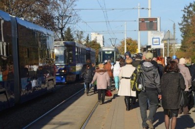 Wrocław: Autobusy i tramwaje na Wszystkich Świętych