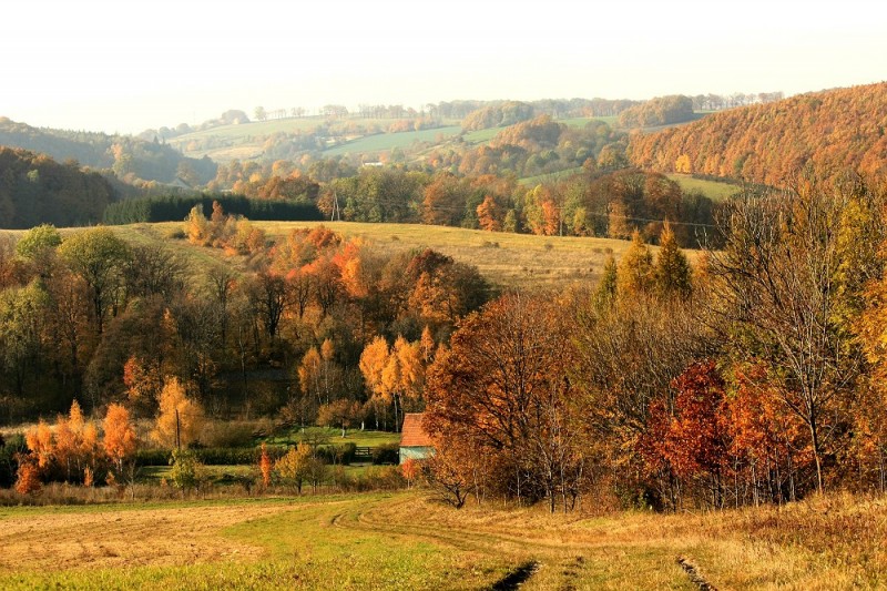 TOP5 miejsc malowanych kolorami jesieni - wygrywa Wąwóz Myśliborski - 
