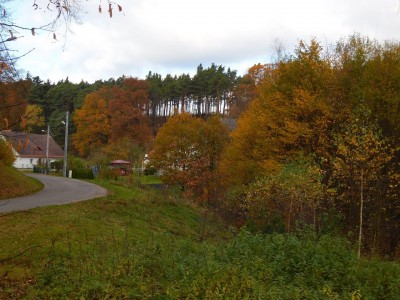 TOP5 miejsc malowanych kolorami jesieni - wygrywa Wąwóz Myśliborski - 16