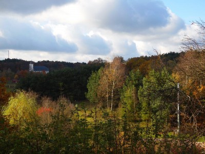 TOP5 miejsc malowanych kolorami jesieni - wygrywa Wąwóz Myśliborski - 17