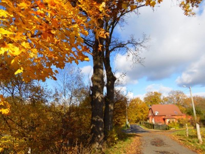TOP5 miejsc malowanych kolorami jesieni - wygrywa Wąwóz Myśliborski - 18