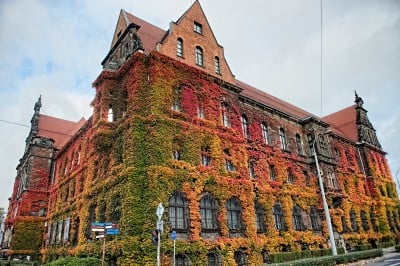 TOP5 miejsc malowanych kolorami jesieni - wygrywa Wąwóz Myśliborski - 1