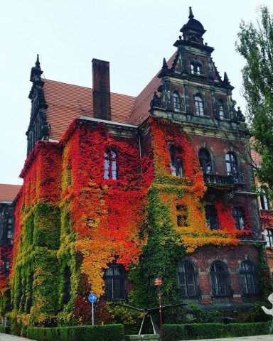 TOP5 miejsc malowanych kolorami jesieni - wygrywa Wąwóz Myśliborski - 3