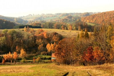 TOP5 miejsc malowanych kolorami jesieni - wygrywa Wąwóz Myśliborski - 8