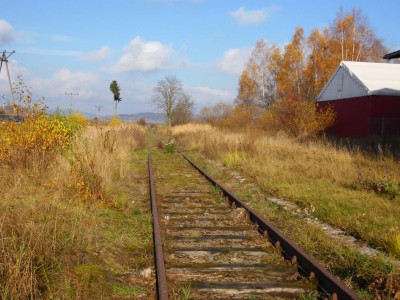 Trasa rowerowa na torach? Miłośnicy kolei bronią nieczynnej linii  - 1
