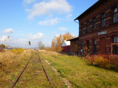 Trasa rowerowa na torach? Miłośnicy kolei bronią nieczynnej linii  - 2