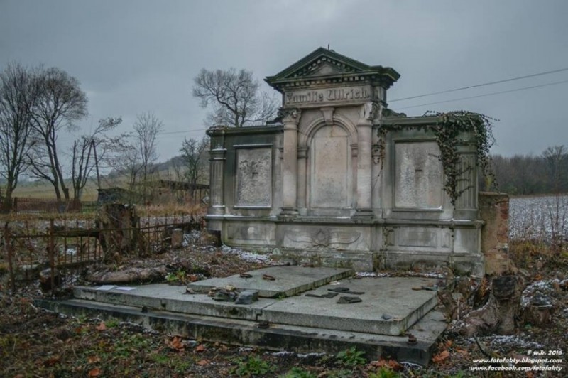 Chce uratować zdewastowany, poniemiecki cmentarz - Fot. Fundacja Anna