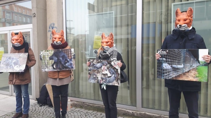 Wrocław: NIE dla hodowli zwierząt futerkowych. Zbiórka podpisów pod petycją - Fot: P. Gałecki