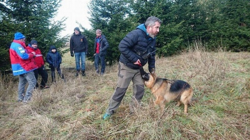 Psy z Wałbrzysko-Kłodzkiego GOPR mogą już szukać zaginionych w terenie - Fot: Grupa Wałbrzysko-Kłodzka GOPR