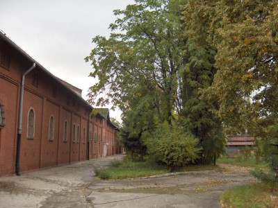 Kup sobie Kępę Mieszczańską!  - 6