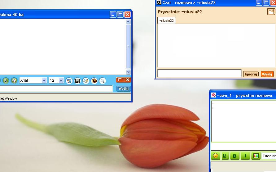 Tulipan z internetu - uwodził tylko zamożne (Posłuchaj) -