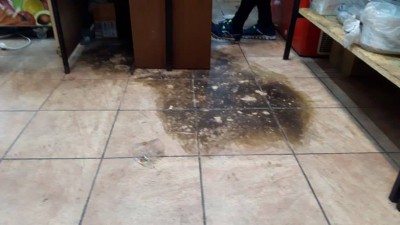 Atak na egipski bar we Wrocławiu. Wrzucili butelkę z benzyną [ZDJĘCIA] - 2