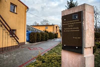 TOP5  dolnośląskich schronisk dla bezdomnych zwierząt - wygrywa Schronisko Fundacji Centaurus w Szczedrzykowicach - 0