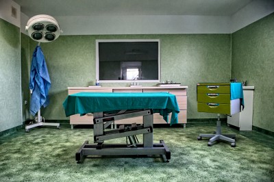 TOP5  dolnośląskich schronisk dla bezdomnych zwierząt - wygrywa Schronisko Fundacji Centaurus w Szczedrzykowicach - 1