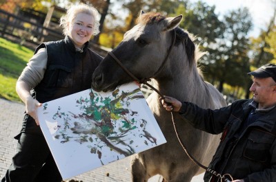 TOP5  dolnośląskich schronisk dla bezdomnych zwierząt - wygrywa Schronisko Fundacji Centaurus w Szczedrzykowicach - 19