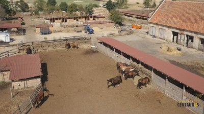 TOP5  dolnośląskich schronisk dla bezdomnych zwierząt - wygrywa Schronisko Fundacji Centaurus w Szczedrzykowicach - 20