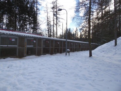 TOP5  dolnośląskich schronisk dla bezdomnych zwierząt - wygrywa Schronisko Fundacji Centaurus w Szczedrzykowicach - 27
