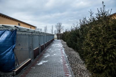 TOP5  dolnośląskich schronisk dla bezdomnych zwierząt - wygrywa Schronisko Fundacji Centaurus w Szczedrzykowicach - 2