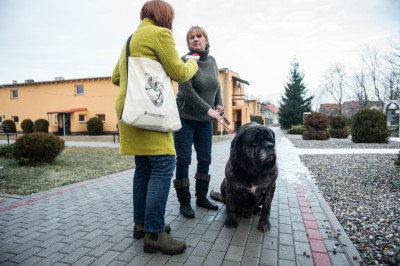 TOP5  dolnośląskich schronisk dla bezdomnych zwierząt - wygrywa Schronisko Fundacji Centaurus w Szczedrzykowicach - 3