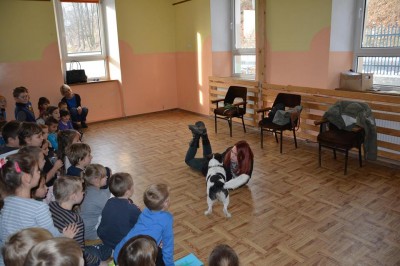 TOP5  dolnośląskich schronisk dla bezdomnych zwierząt - wygrywa Schronisko Fundacji Centaurus w Szczedrzykowicach - 6